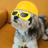 Set de Casco y Gafas Para Perros Cachorros