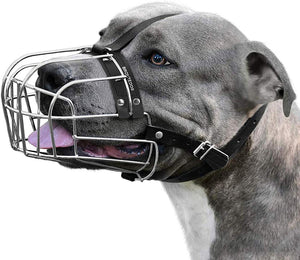 Bozal para perro, máscara de metal, cesta de alambre Pit Bull correas de cuero ajustables para perros