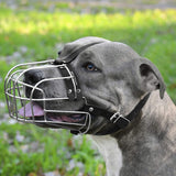 Bozal para perro, máscara de metal, cesta de alambre Pit Bull correas de cuero ajustables para perros