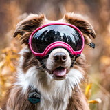 Rex Specs V2 - Gafas para perro (tamaño grande, verde azulado)