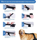 Rodillera para perro para apoyo con lesiones de ligamento cruzado, dolor articular y dolor muscular