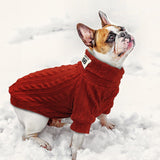 Suéter de punto Invierno Pet Puppy Polo - Ricardo Alejand Torres Rodrigue - AMPI-AN38458CO