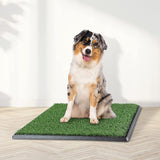 Alfombra de baño de césped artificial para cachorros y mascotas pequeñas, para uso en interiores y exteriores