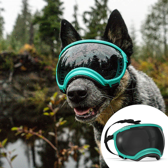 Rex Specs V2 - Gafas para perro (tamaño grande, verde azulado)
