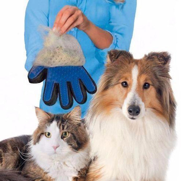 Magical Pet Touch Grooming Gloves - Ricardo Alejand Torres Rodrigue - AMPI-AN38458CO